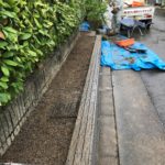 京都府宇治市 ハナミズキの植栽