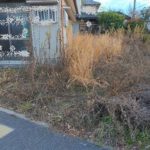 城陽市で空き家の草刈り・剪定
