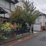 木の伐採と草刈り　宇治市