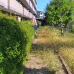 マンションの草刈　宇治市