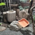 剪定などお庭のお手入れ　京都市の料理屋さん