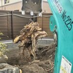 宇治市で大木の伐根作業をしました