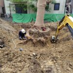 大木の移植工事｜樹木医が安全に根を守りながら行った移植事例