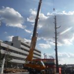 伐採の施工実績一覧｜宇治市・城陽市で庭木の伐採・伐根