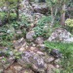 夢窓疎石の精神を受け継ぐ場所。高知・竹林寺庭園を訪ねて